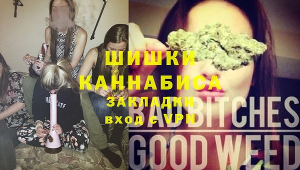 ALPHA PVP Каменногорск