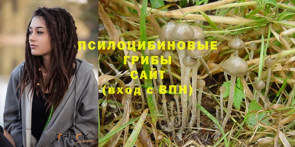 ALPHA PVP Каменногорск