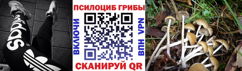 Галлюциногенные грибы ЛСД  Купить где  Камызяк 