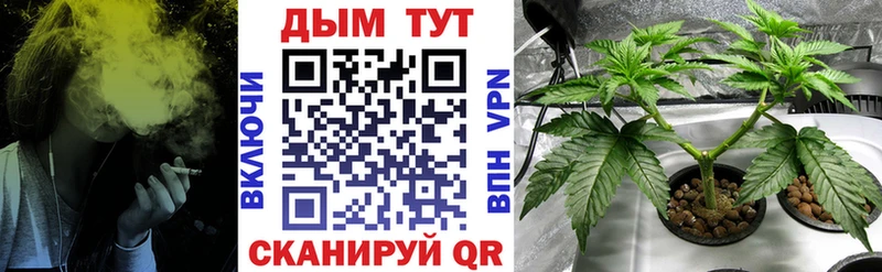 Купить закладки  Камызяк  Каннабис Amnesia 